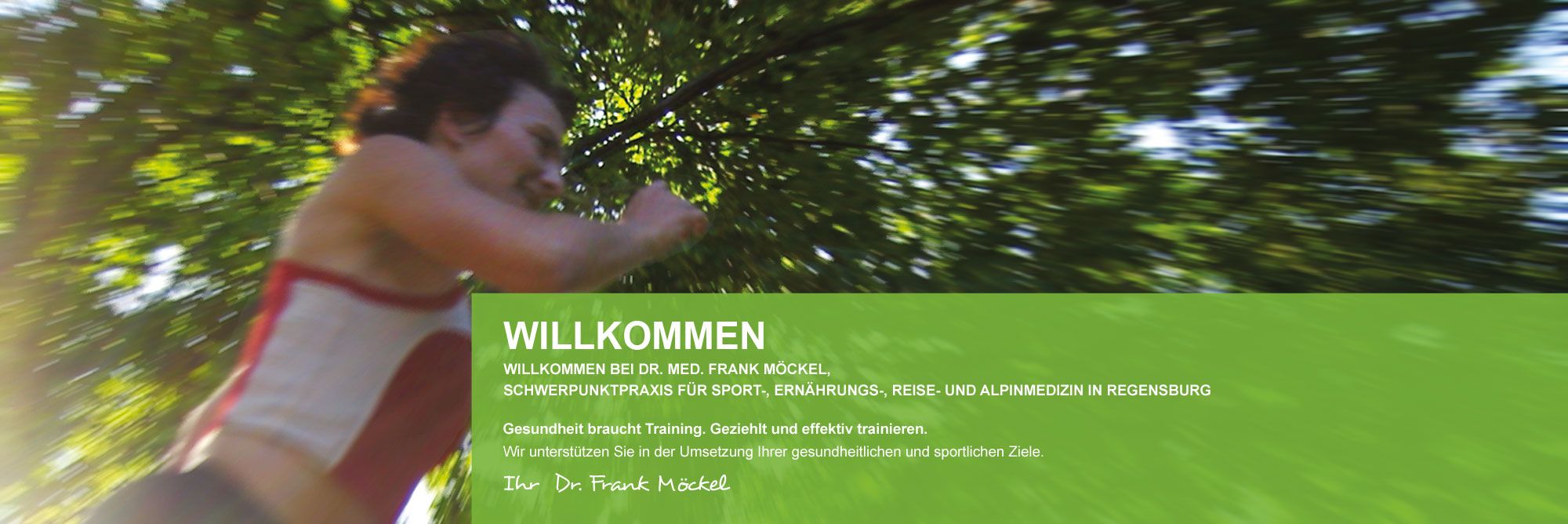 Header IPS Möckel